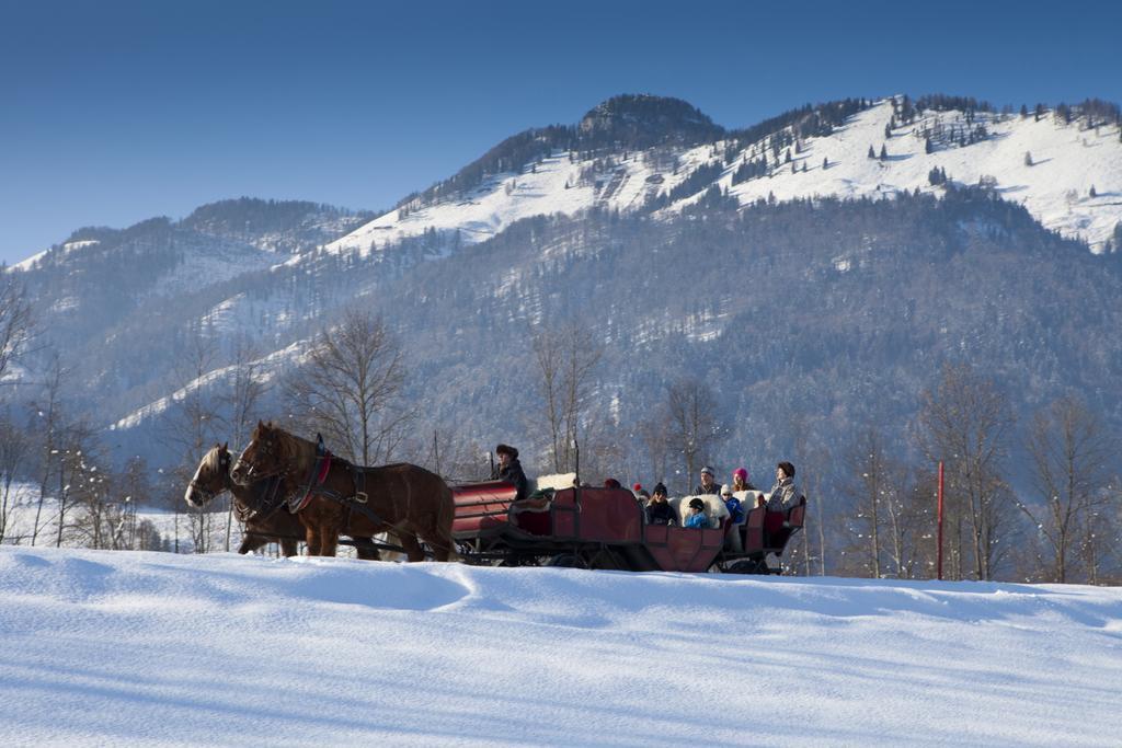 Bergheim Komfort Ferienwohnungen Вальхзе Экстерьер фото